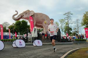 BIB: 
                            <button type="button" onclick="openModal(26529103)" class="btn btn-primary btn-sm float-right btn-popup" data-toggle="modal" data-target=".modal-high-quality">
                        <i class="fas fa-shopping-cart"></i> Add to Cart
                    </button>
                                            <button type="button" onclick="isThisMe(26529103, true)" class="btn btn-success btn-sm float-right btn-popup btn-isme hidden" data-toggle="tooltip" data-placement="bottom" title="นี่คือรูปของคุณใช่ไหม คลิกที่นี่เพื่อเอาเข้าอัลบั้ม">
                        <i class="fas fa-plus"></i> Add to album
                    </button>
                    <button type="button" onclick="isThisMe(26529103, false)" class="btn btn-warning btn-sm float-right btn-popup btn-isnotme hidden">
                        <i class="fas fa-ban"></i> Remove from album
                    </button>